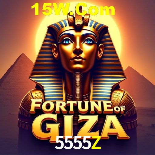 5555Z Rio de Janeiro - Bonus Terms