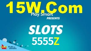 5555Z App Interface