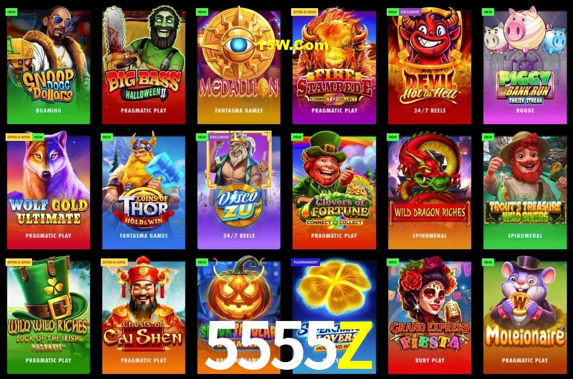 Secure Login 5555Z